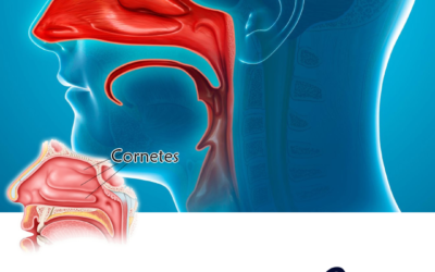 Enfermedades Nasales y Sinusales: Innovaciones y Tratamientos Modernos